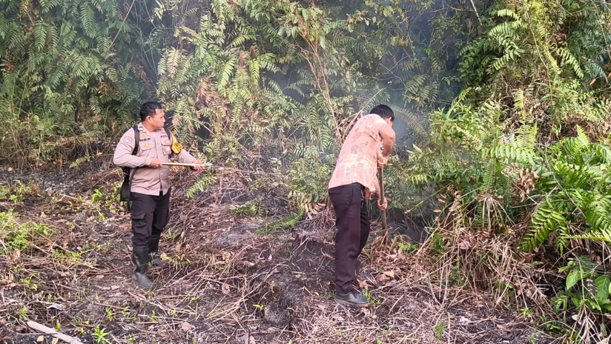 Karhutla di Jalan Kajang Mekar, Singa Geweh, Sangatta Selatan, menghanguskan sekitar 0,5 hektare lahan gambut beberapa hari lalu. (IST)

&nbsp;