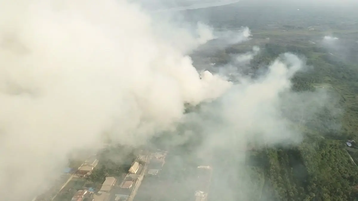 Kebakaran hutan dan lahan (karhutla) di Kalimantan.