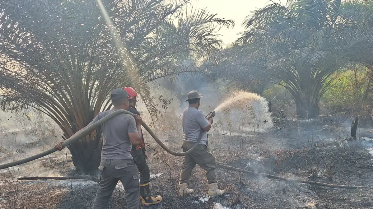 Kecamatan Tanah Grogot menjadi wilayah dengan kejadian karhutla tertinggi di Kabupaten Paser. (M NAJIB/KALTIM POST)