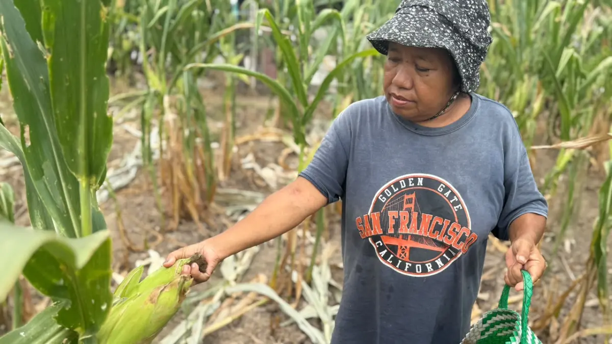 RUTINITAS: Kini kualitas hidup Miwa lebih baik. Keluhan penyakitnya mulai tertangani. Rutinitas berkebun dilakukannya dengan nyaman tanpa beban. (Foto: Roro Mira/KP)