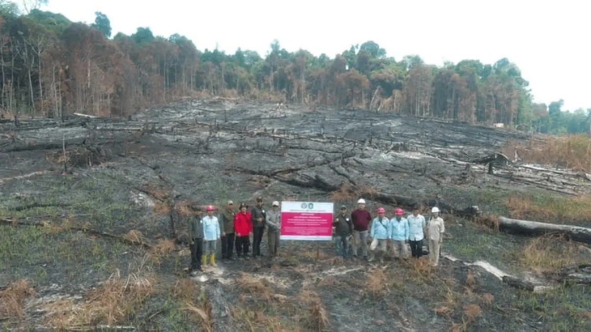 Tim Penegakan Hukum (Gakkum) Kementerian Kehutanan melakukan penyegelan dan penancapan papan sanksi di areal konsesi Perizinan Berusaha Pemanfaatan Hutan (PBPH) yang terbakar.