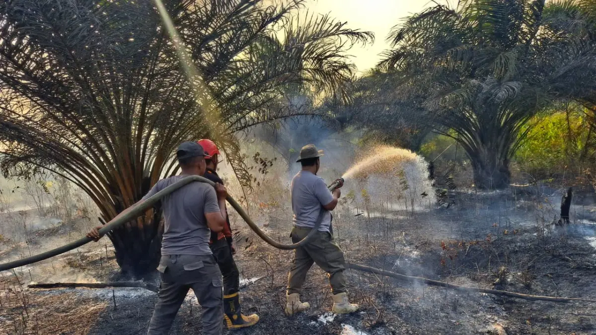 DPRD Samarinda mengingatkan warga waspada karhutla di tengah kemarau panjang. (RAMA/KP)&nbsp;