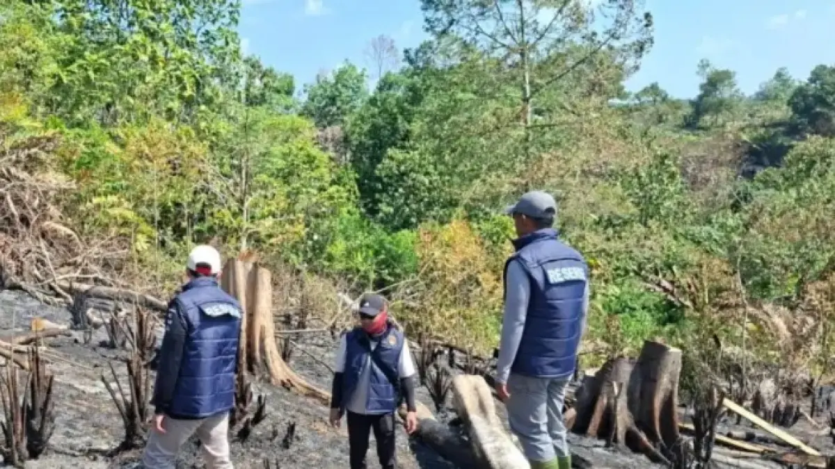 Penyidik kepolisian melakukan olah Tempat Kejadian Perkara (TKP) di lokasi bekas kebakaran hutan dan lahan (karhutla) di kawasan Kabupaten Kutai Kartanegara.