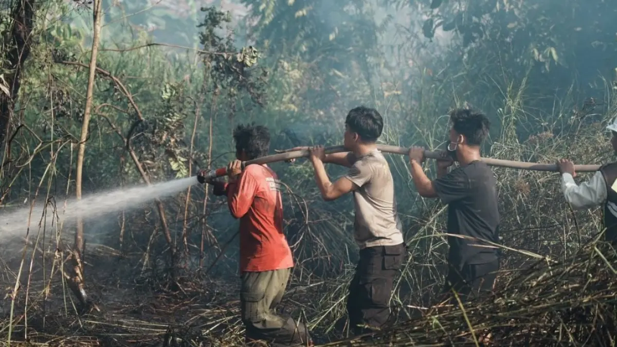 Pemprov Kaltim bersama akademisi dan praktisi hukum tengah menggodok rancangan aturan yang memperjelas tata cara, batas waktu, serta peruntukan pembakaran lahan kearifan lokal yang khusus ditujukan bagi kebutuhan ketahanan pangan, sekaligus mempertegas larangan pembakaran untuk komoditas perkebunan demi menekan risiko pidana kelalaian karhutla.