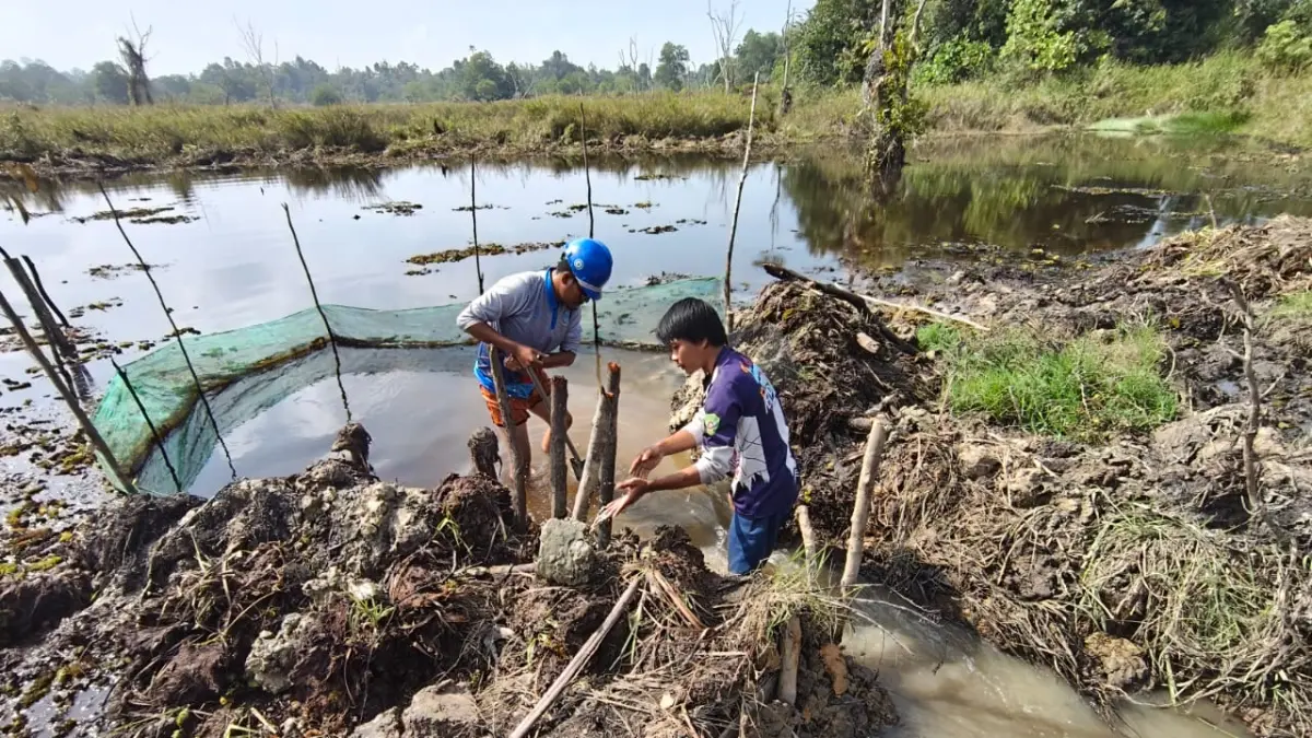 PENDALAMAN: Petugas Perumda AMDT PPU sedang melakukan pendalaman dan pembesaran aliran air baku dari kolam retensi ke sungai.(IST)