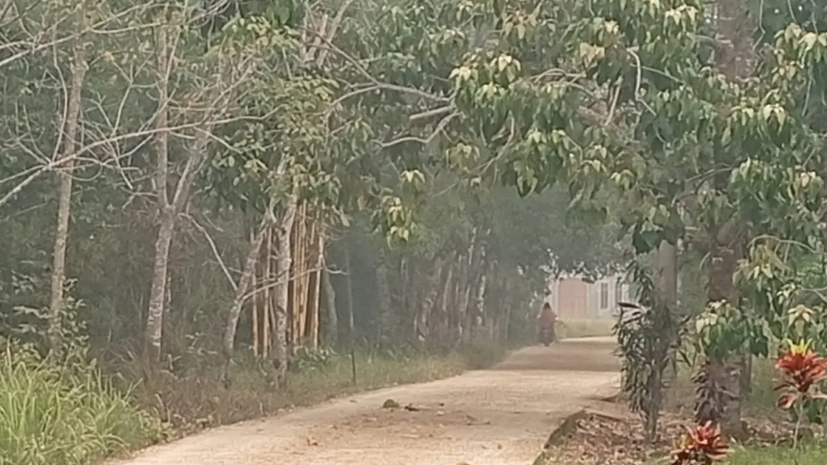 Kabut asap di Sendawar, Kubar.