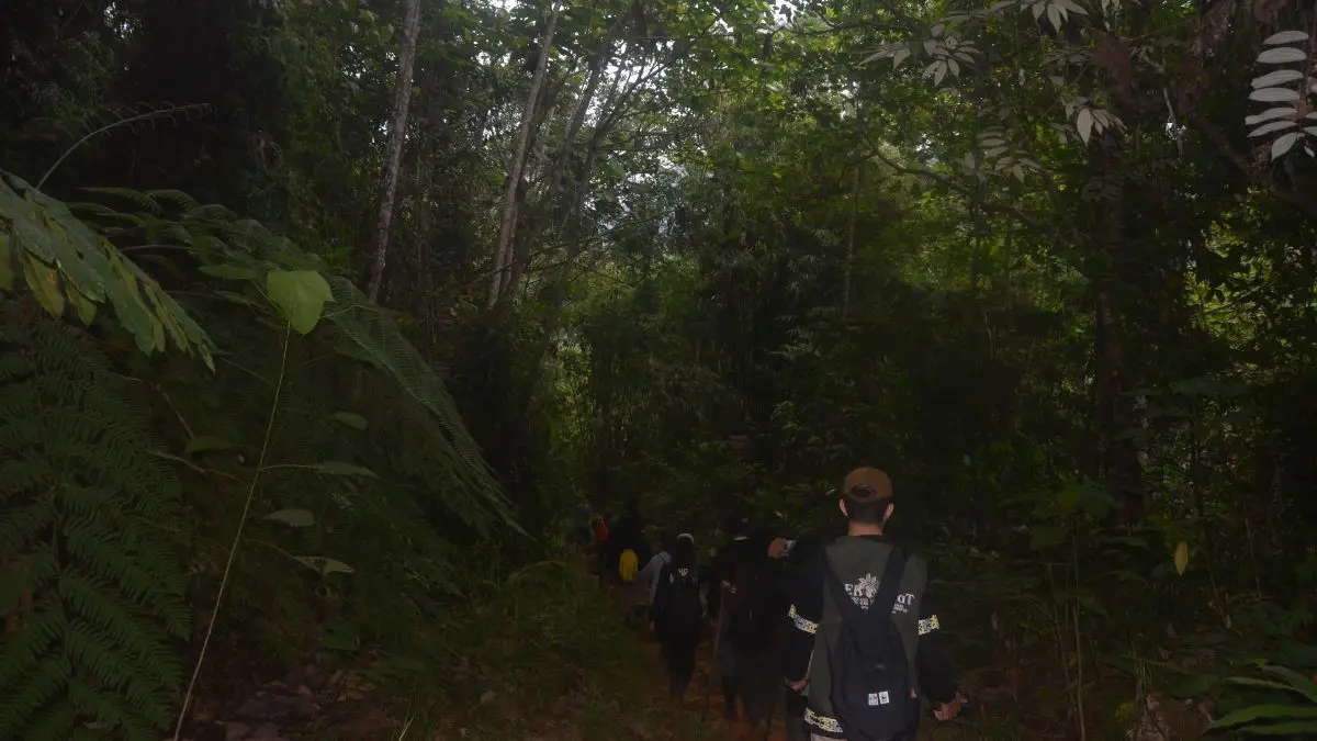 HUTAN ADAT: Kampung Adat Mului terkenal dengan hutan adatnya yang begitu sakral dengan Gunung Lumut yang menjadi pusat spiritual masyarakat setempat. 