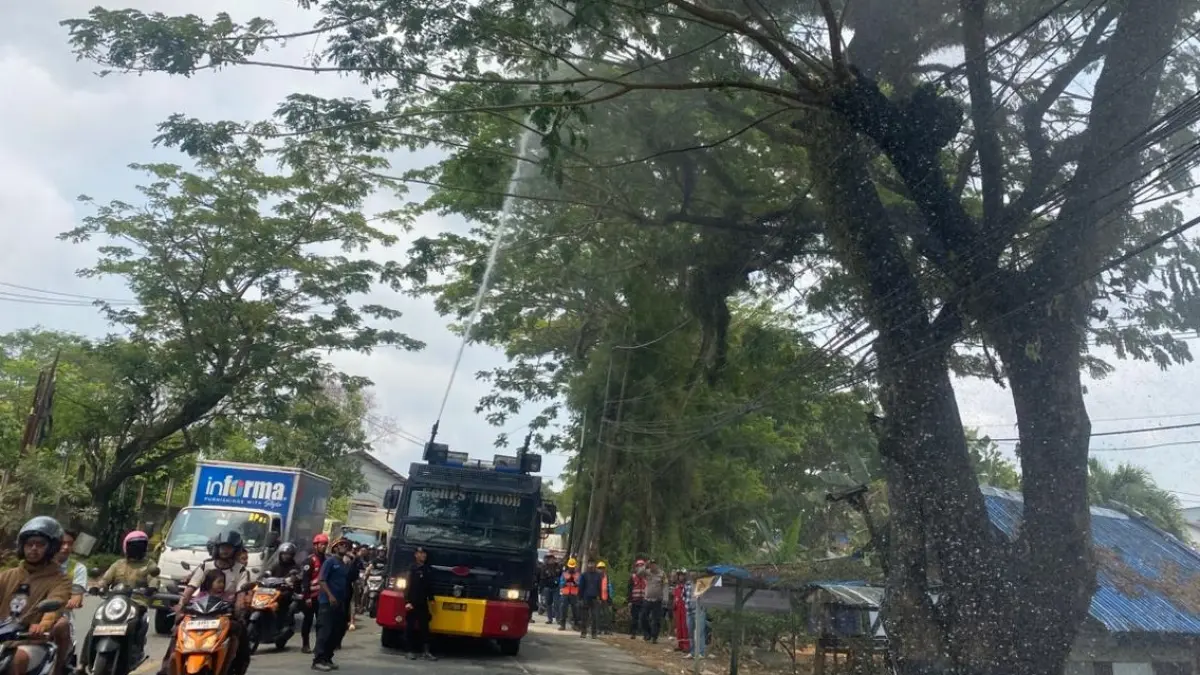 TERBAKAR: Diduga membakar sampah, api kemudian menyulut semak belukar dan pohon.