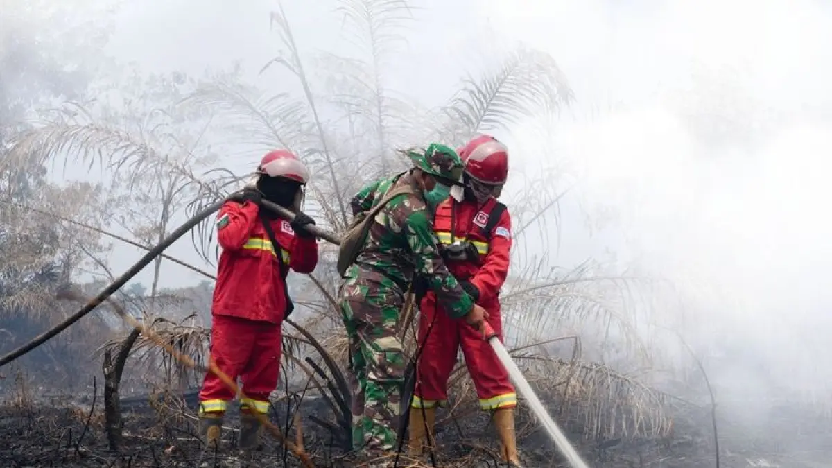 Data satelit menunjukkan lebih dari 80 persen titik panas (hotspot) berada di wilayah konsesi pertambangan dan perkebunan kelapa sawit. Oleh karena itu, aparat penegak hukum dan pemerintah didesak untuk menindak tegas serta menagih pertanggungjawaban pemilik konsesi atas kewajiban penyediaan sarana dan prasarana pencegahan kebakaran. (Dokumentasi foto Kemenhut)