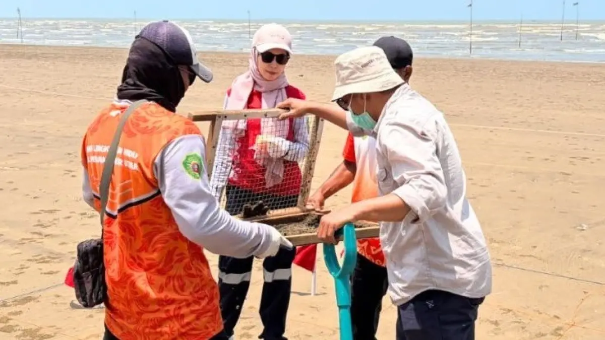 SAMPLING: Tim Dinas Lingkungan Hidup (DLH) PPU sedang melakukan sampling sampah laut untuk memetakan tingkat pencemaran sampah plastik dan limbah.(IST)