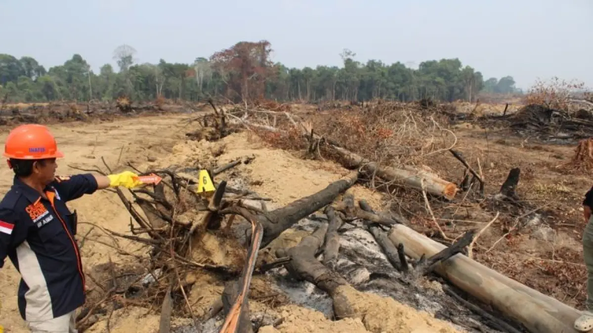 Hingga Jumat (4/9/2026), total tersangka karthutla di Katim bertambah menjadi 12 orang dari 37 perkara yang ditangani dengan total luas area terbakar mencapai 494,14 hektare.