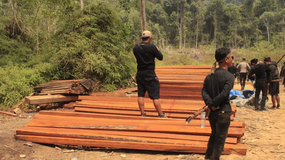ILLEGAL LOGGING: Masyarakat Dayak Basap Karangan menyisir hutan untuk menghentikan dugaan illegal logging. Dari lokasi, warga menemukan sembilan chainsaw dan satu peluru aktif. 