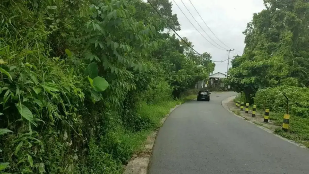 SAKSI BISU: Kawasan Bukit Cinta yang menjadi lokasi penguburan jenazah bayi.
