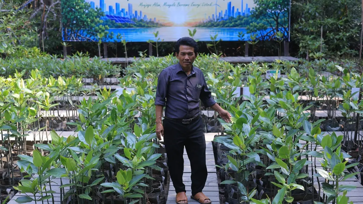 KONSISTEN: Agus Bei tetap merawat kawasan mangrove Graha Indah, Balikpapan, setelah lebih dari dua dekade mengabdikan diri pada konservasi pesisir. FUAD MUHAMMAD/KP