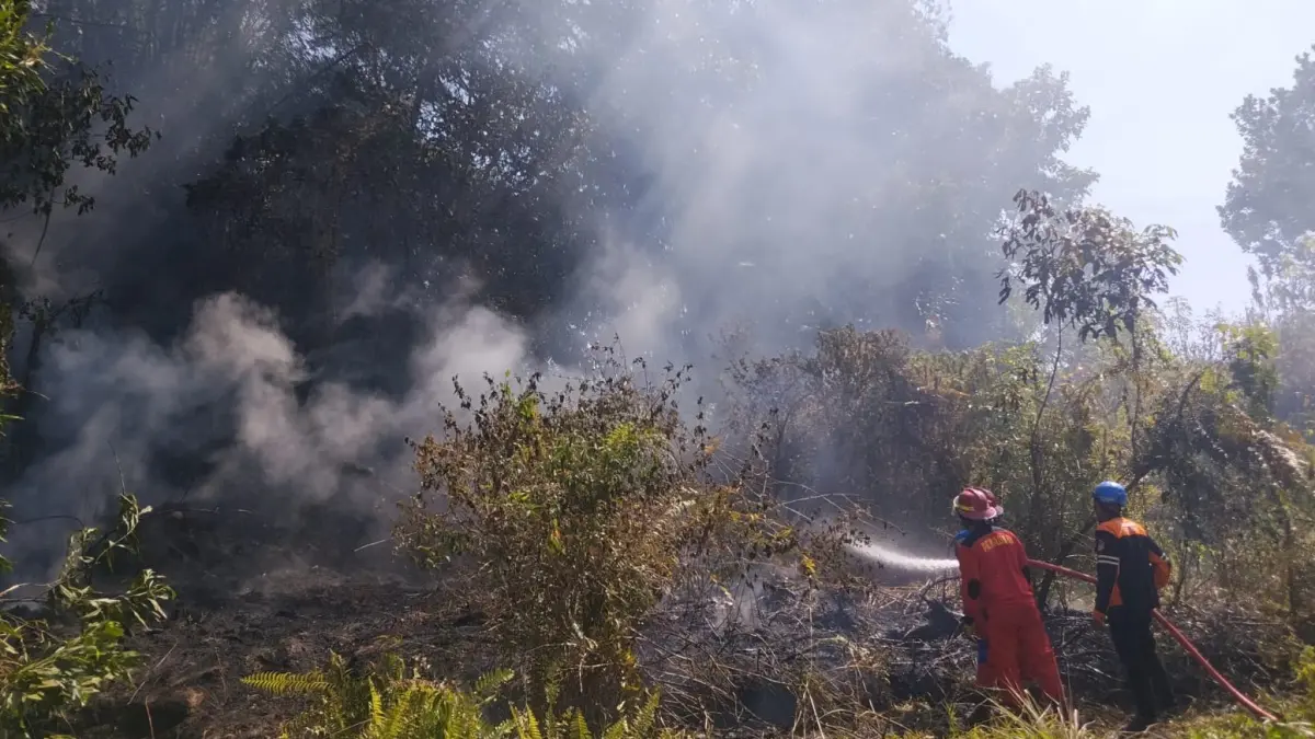 KEBAKARAN LAHAN: Petugas bahu-membahu memadamkan kebakaran hutan dan lahan yang terjadi di Kelurahan Gunung Sari Ulu, beberapa waktu lalu.

