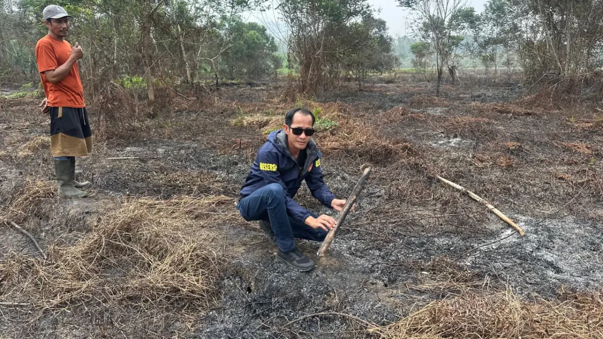 Petugas melakukan olah TKP kasus pembakaran lahan di Desa Suka Damai, Kecamatan Teluk Pandan, Kutai Timur. (IST)

&nbsp;