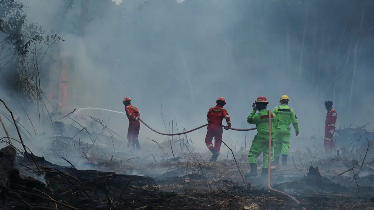 ERG PT Berau Coal mendukung penanganan karhutla di Berau bersama pemerintah dan berbagai pihak melalui deteksi dini, pengerahan personel, pemadaman, serta dukungan logistik. (IST)