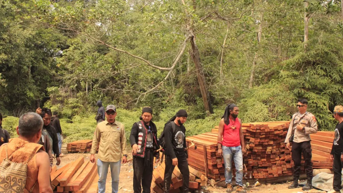 LIAR: Masyarakat Dayak Basap Karangan menyisir kawasan hutan untuk menggerebek lokasi yang diduga menjadi tempat aktivitas pembalakan liar di Karangan, Kutai Timur. 