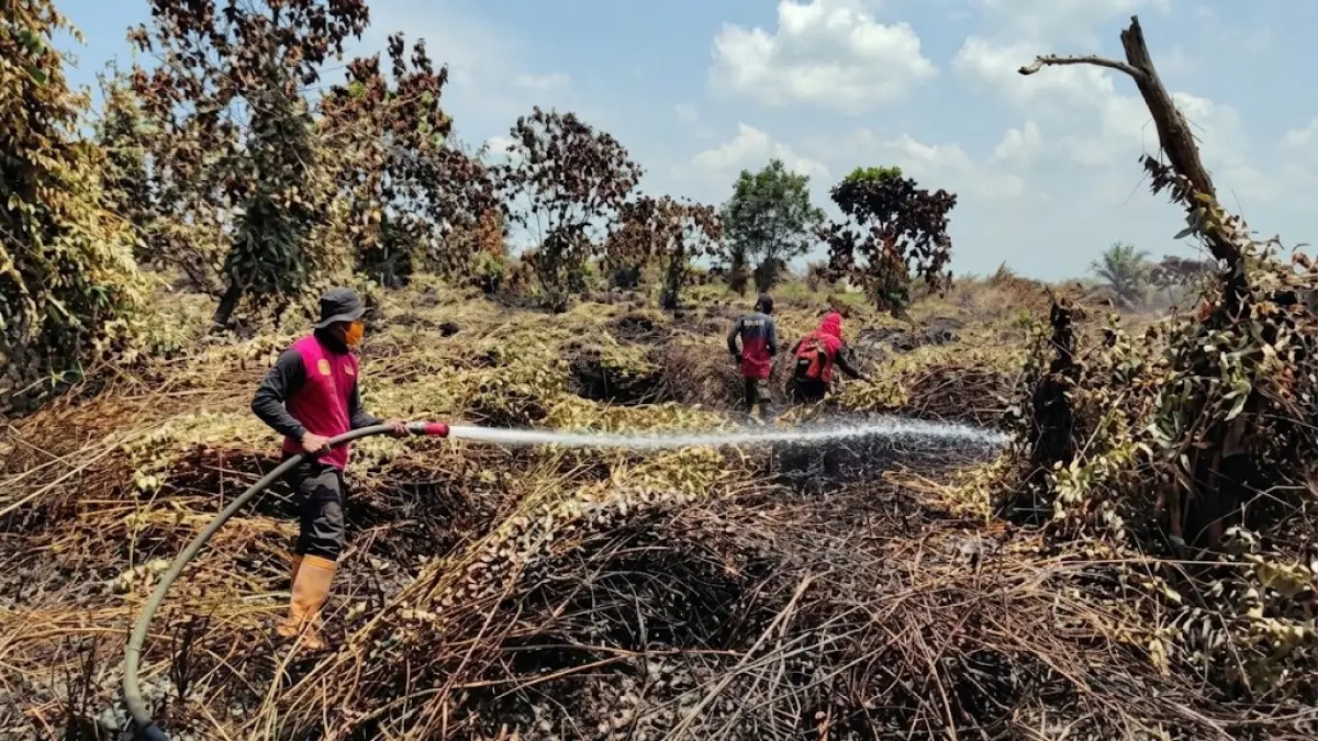 PADAMKAN API: Personel gabungan BPBD PPU sedang memadamkan api yang membakar lahan gambut.(IST)