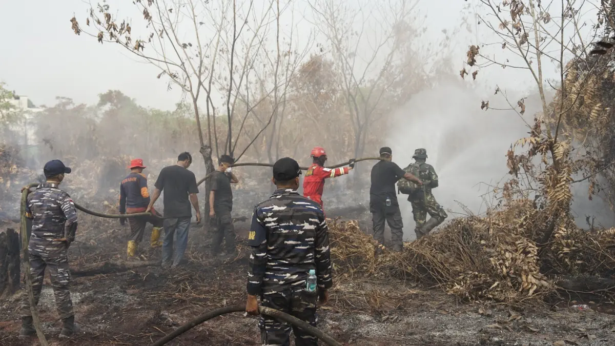 PT Berau Coal melalui ERG bersama Tim Gabungan menangani karhutla di Kabupaten Berau sejak pertengahan Agustus 2026 dengan pemantauan hingga pemadaman di lapangan. (IST)