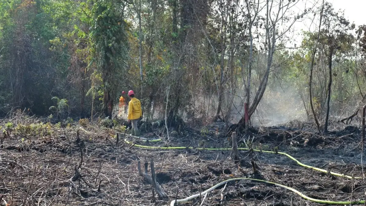 Petugas melakukan pemadaman kebakaran hutan dan lahan di Kaltim.