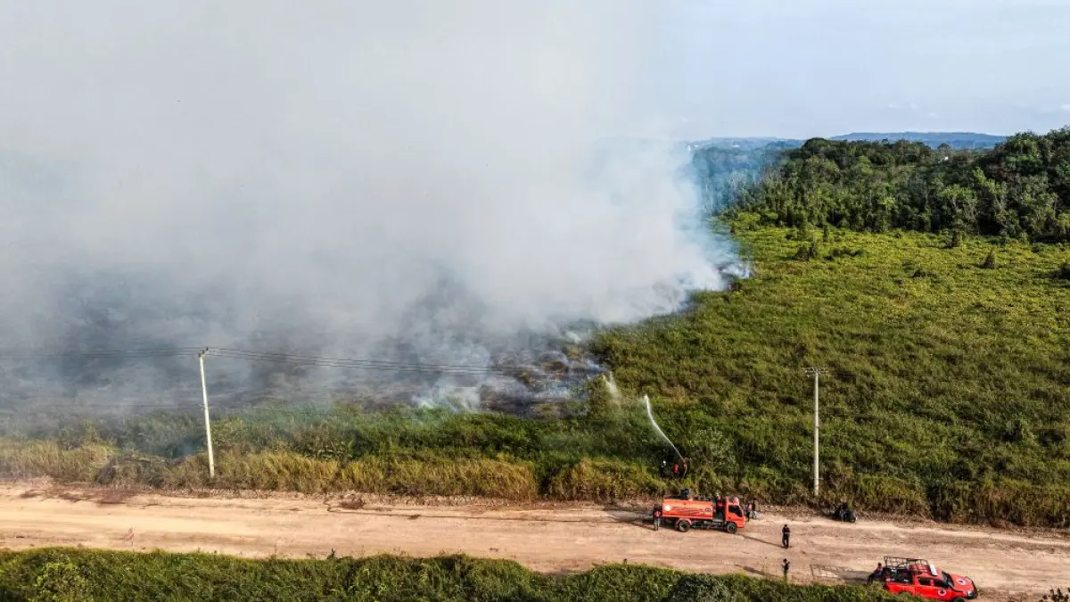 API TERUS MELUAS: Kebakaran lahan di Bantuas, Kecamatan Palaran, Samarinda, terus meluas hingga Selasa (8/9) sore. Petugas BPBD Samarinda bersama relawan berjibaku mengendalikan perambatan api agar tak semakin meluas. Hingga petang, kebakaran belum sepenuhnya terkendali. (FOTO: RAMA SIHOTANG/KP)
