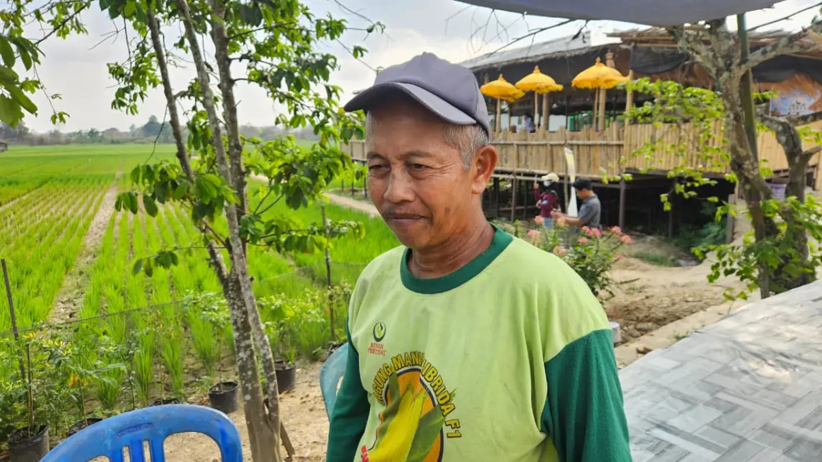 Sekitar seperempat hektare sawah milik Arlan di Betapus, Lempake, Samarinda Utara, terdampak kekeringan. (HAFIZ/KALTIM POST)