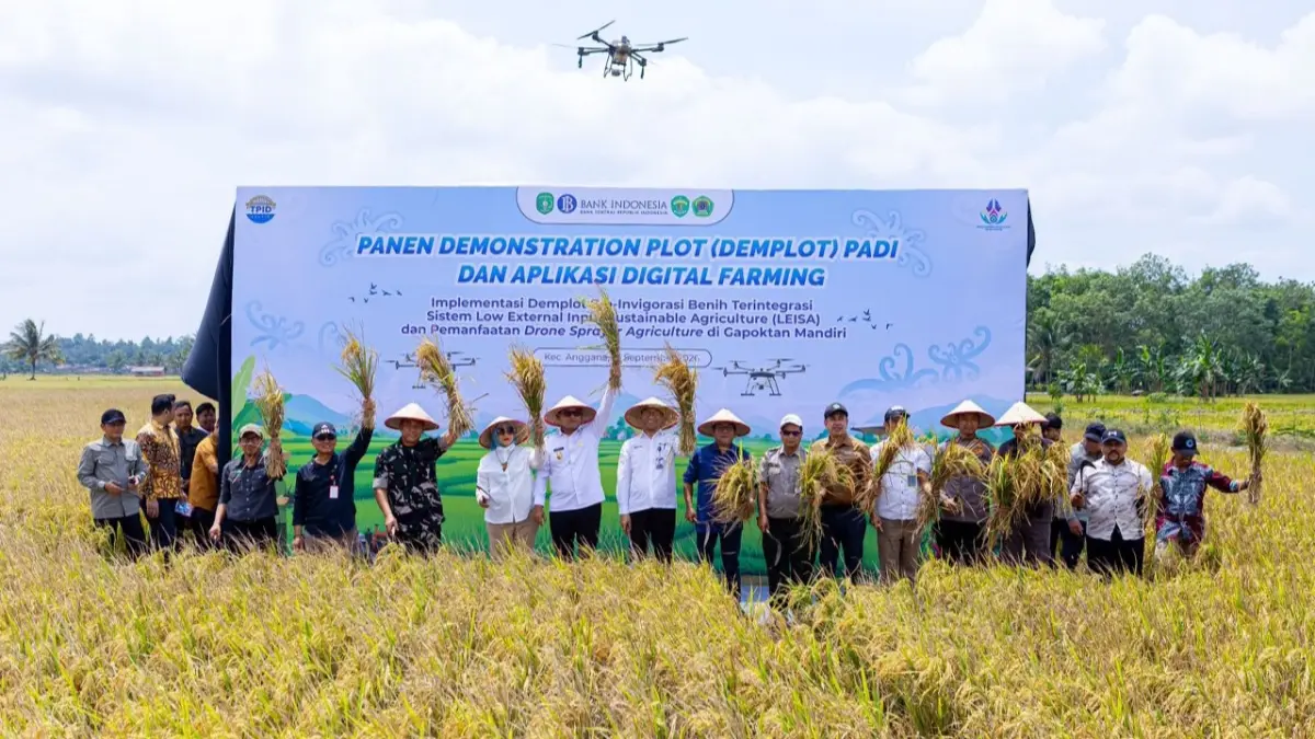 MENINGKAT: Kemampuan produksi beras lokal meningkat dari hanya 30 persen menjadi 58 persen kebutuhan.
