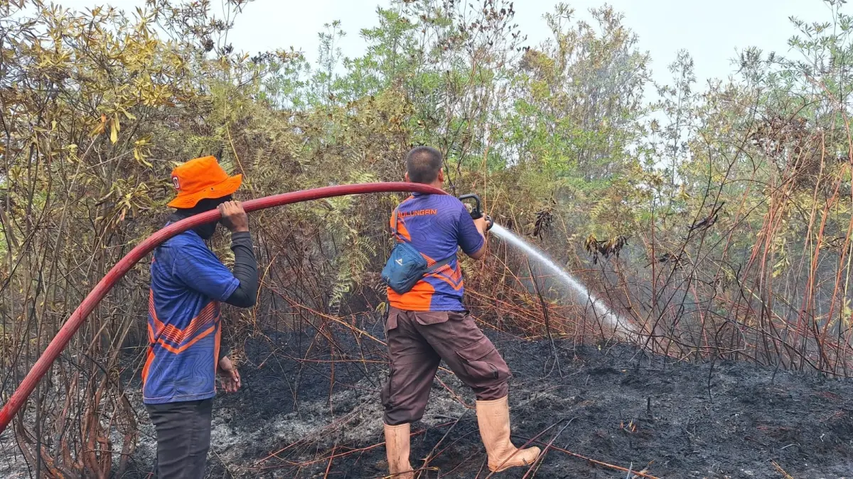Petugas BPBD Balikpapan saat memadamkan api.