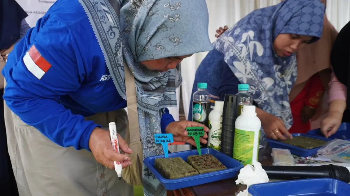 MANFAAT: Program PELITA memanfaatkan lahan perkotaan sebagai area produksi pangan.