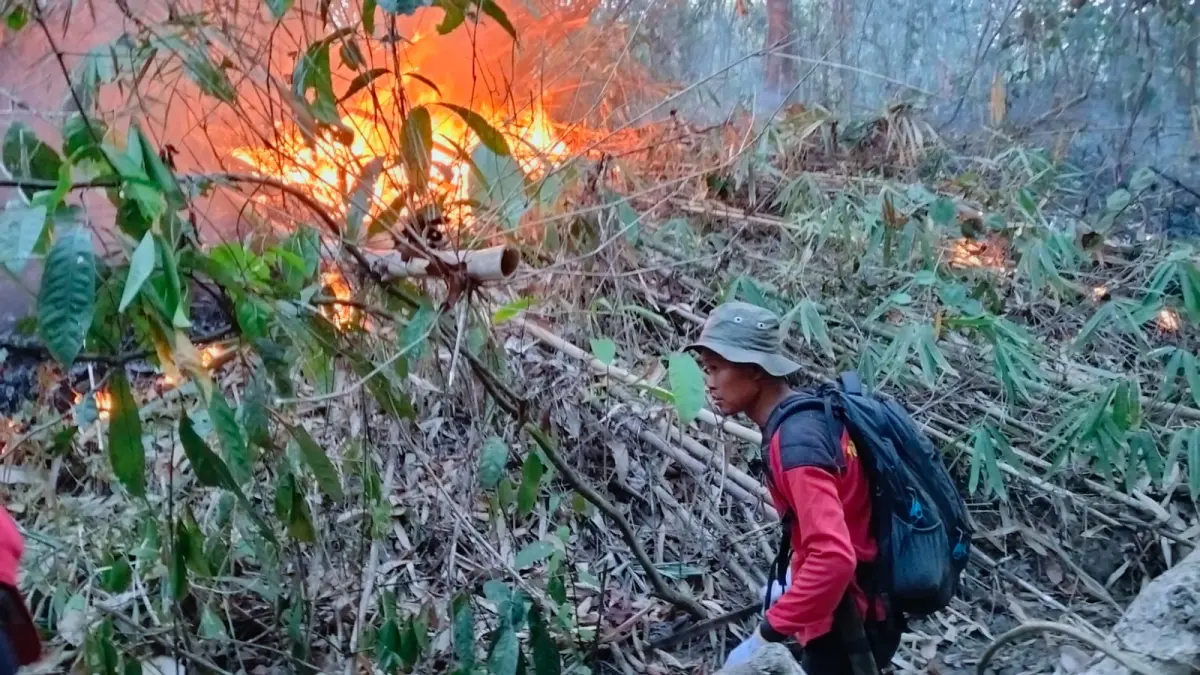 Petugas KPHP Kendilo memadamkan kebakaran di kawasan hutan di Paser.