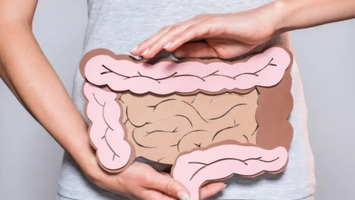 Ilustrasi usus.