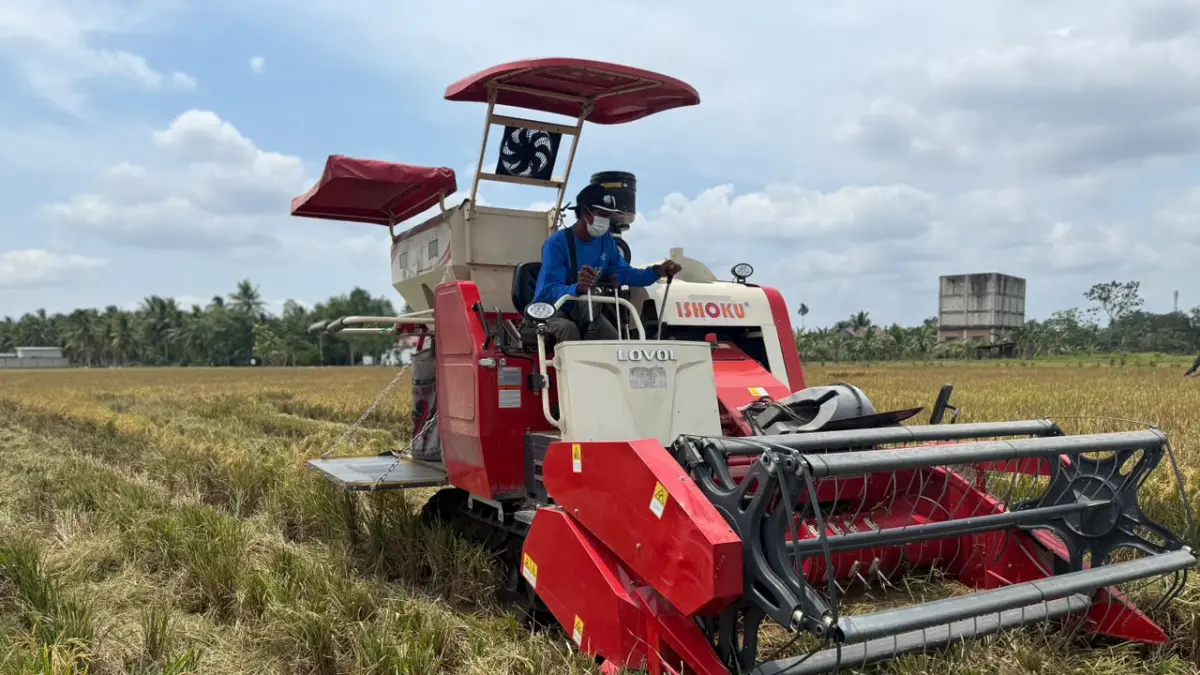 TUMBUH: Daya beli petani menguat pada Agustus, tumbuh 0,48 persen dibanding bulan sebelumnya.