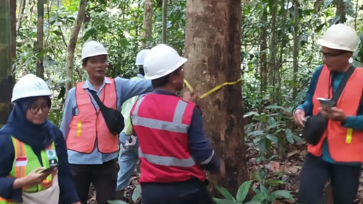 PENGAKUAN: PT Balikpapan Wana Lestari menjadi pemegang PBPH hutan alam pertama di Kalimantan yang memperoleh sertifikasi SFM dengan skema IFCC. IST/KP