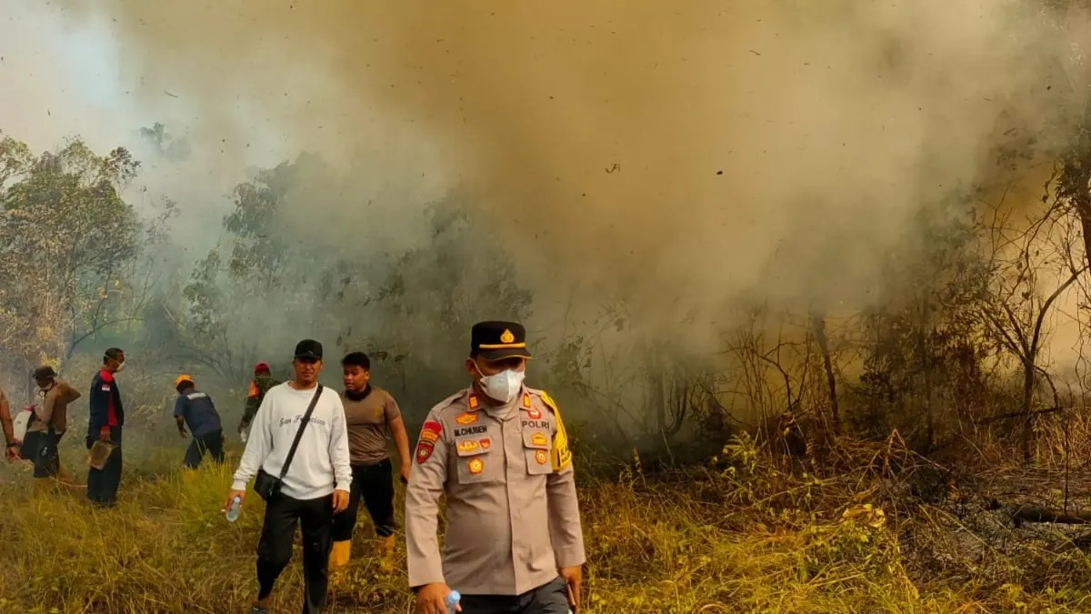 TERBAKAR: Lahan seluas 4 hektare terbakar di kawasan Lamaru.