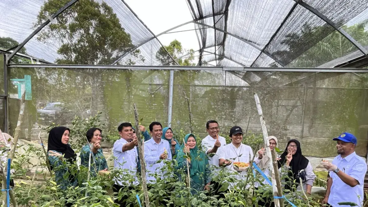 STRATEGI: Gerakan tanam cabai serta pemanfaatan pekarangan di Balikpapan dan Penajam Paser Utara terus digencarkan BI Balikpapan untuk memperkuat benteng kemandirian pangan warga.