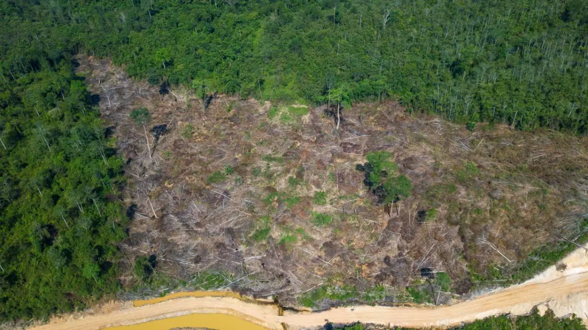 KERUSAKAN HLSW: Pemandangan udara menunjukkan skala pembukaan lahan yang terjadi di dalam kawasan Hutan Lindung Sungai Wain (HLSW), Balikpapan. Pembabatan hutan secara ilegal ini menyebabkan kerusakan ekosistem yang parah dan kerugian fungsi ekologis yang diperkirakan mencapai ratusan miliar rupiah.
