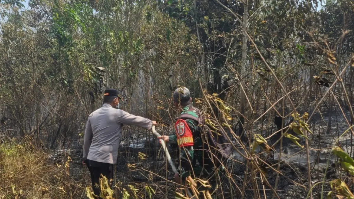 BERTARUNG: Satgas Karhutla gabungan instansi bertarung memadamkan api di lahan dekat permukiman.