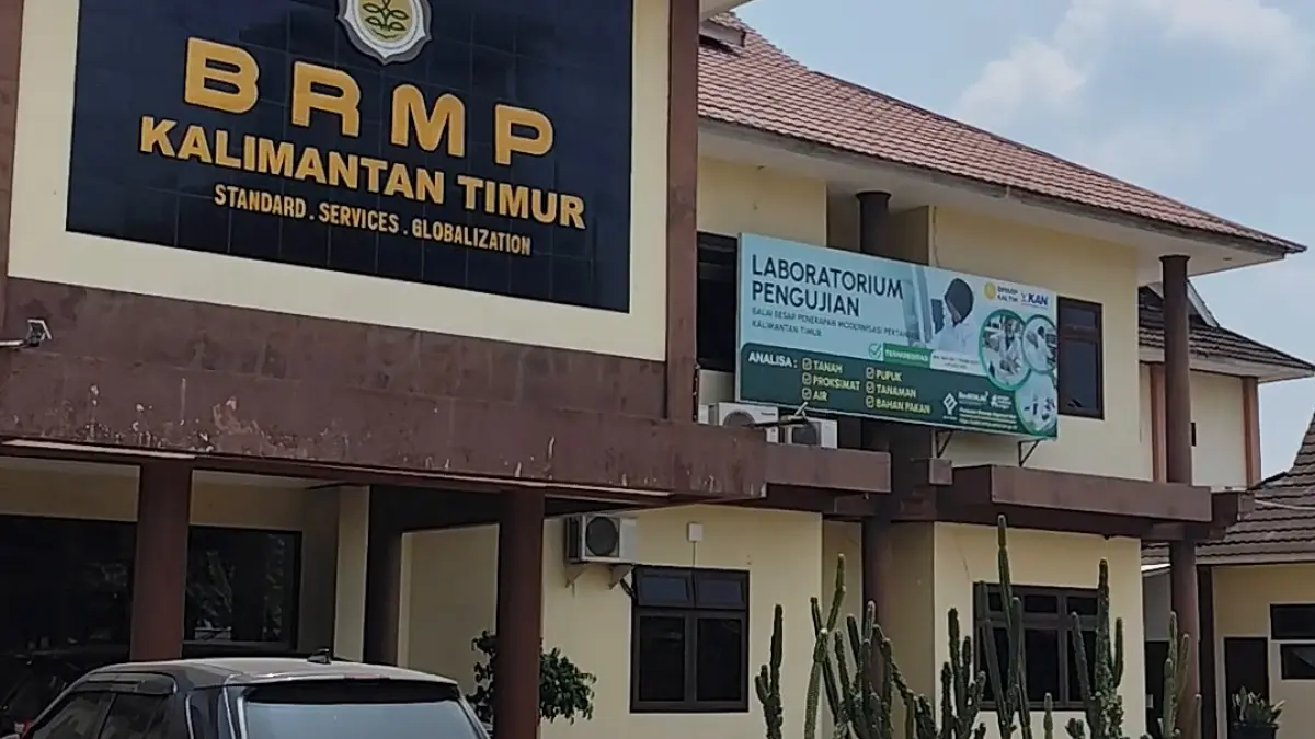 PANTAU: BRMP Kaltim terus memantau distribusi pupuk bersubsidi bagi kelompok tani, sehingga makin mudah didapatkan dengan harga yang stabil.
