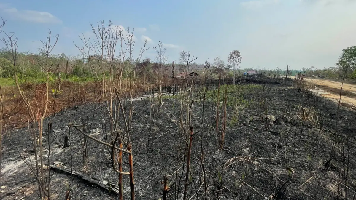 Karhutla di Kaltim. (FOTO M TAUFIK/KP)