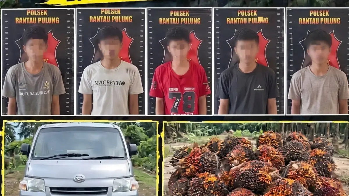 Lima pria diamankan polisi dalam kasus dugaan pencurian 115 janjang buah kelapa sawit, bersama barang bukti di Polsek Rantau Pulung.
