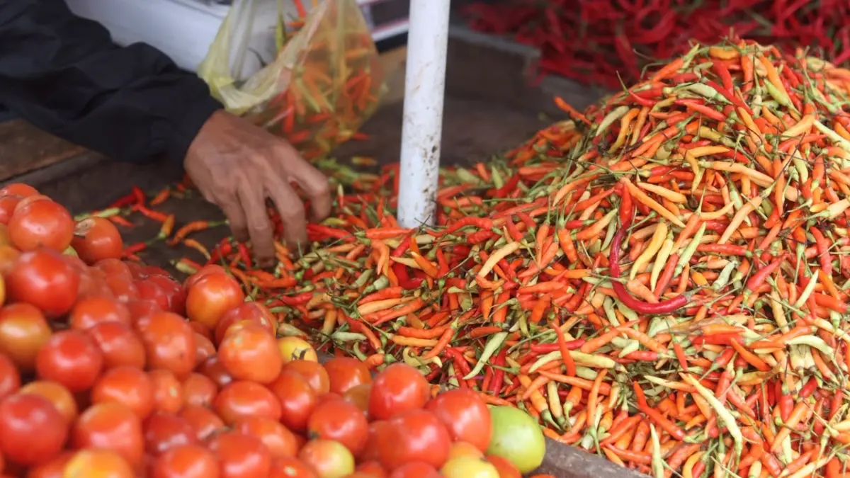 Harga cabai di Balikpapan mahal. (FOTO ANGGI PRADITHA/KP)