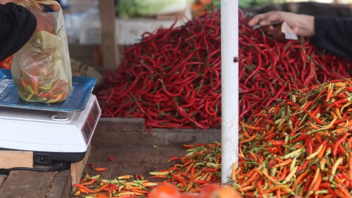 Pedagang cabai di Pasar Pandansari, Balikpapan. (FOTO ANGGI PRADITHA)