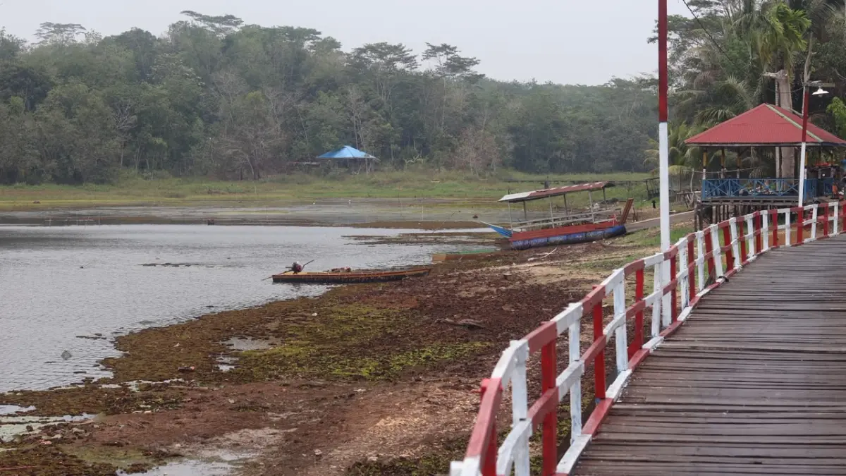 TERHALANG GULMA: Wahana kapal wisata terhenti di antara tumpukan gulma air di kawasan Waduk Manggar, Balikpapan, Minggu (4/10). Pengelola Pokdarwis Bamboe Wanadesa berharap penanganan dari BWS Kalimantan IV sebelum penurunan debit air menyebabkan gulma membusuk dan mencemari waduk. ANGGI PRADITHA/KP