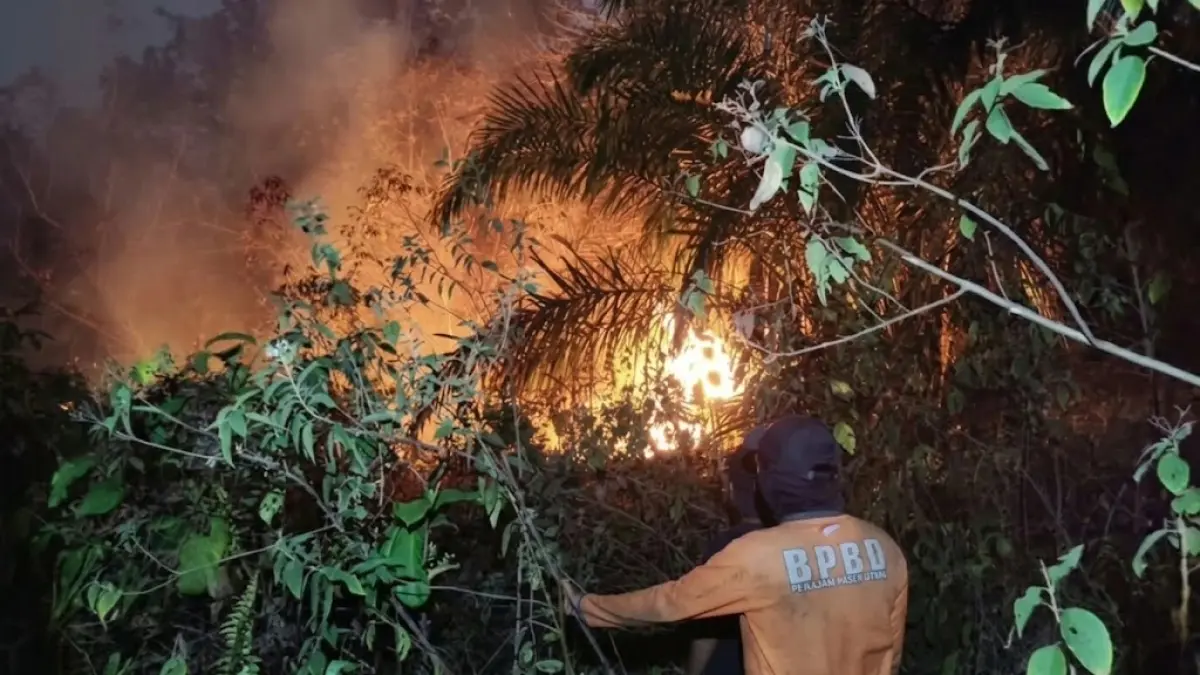 KARHUTLA: Api karhutla di Kelurahan Riko, Kecamatan Penajam, PPU, tampak semakin membesar dan meluas.(IST)