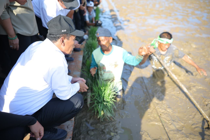 Rehabilitasi Pertanian Pascabencana Mentan Amran Libatkan Langsung Petani dengan Skema Padat Karya