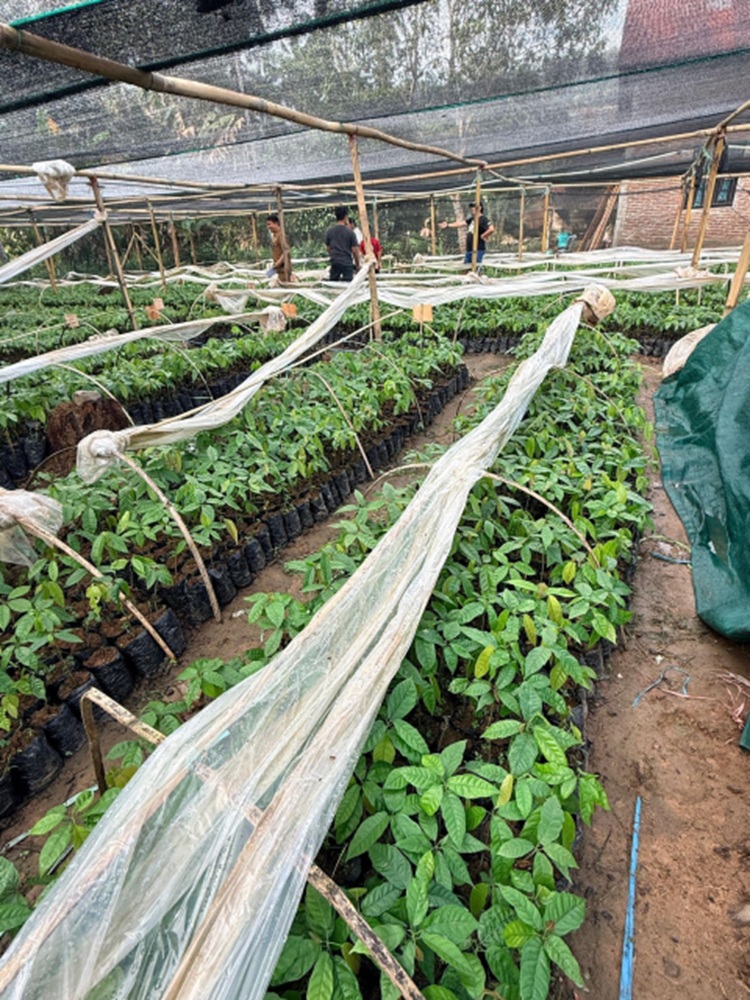 Kelompok Tani. (istimewa)