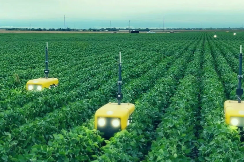For larger farms, multiple robots can operate as a fleet or swarm, scaling up coverage and efficiency. Photos: Greenfield Robotics