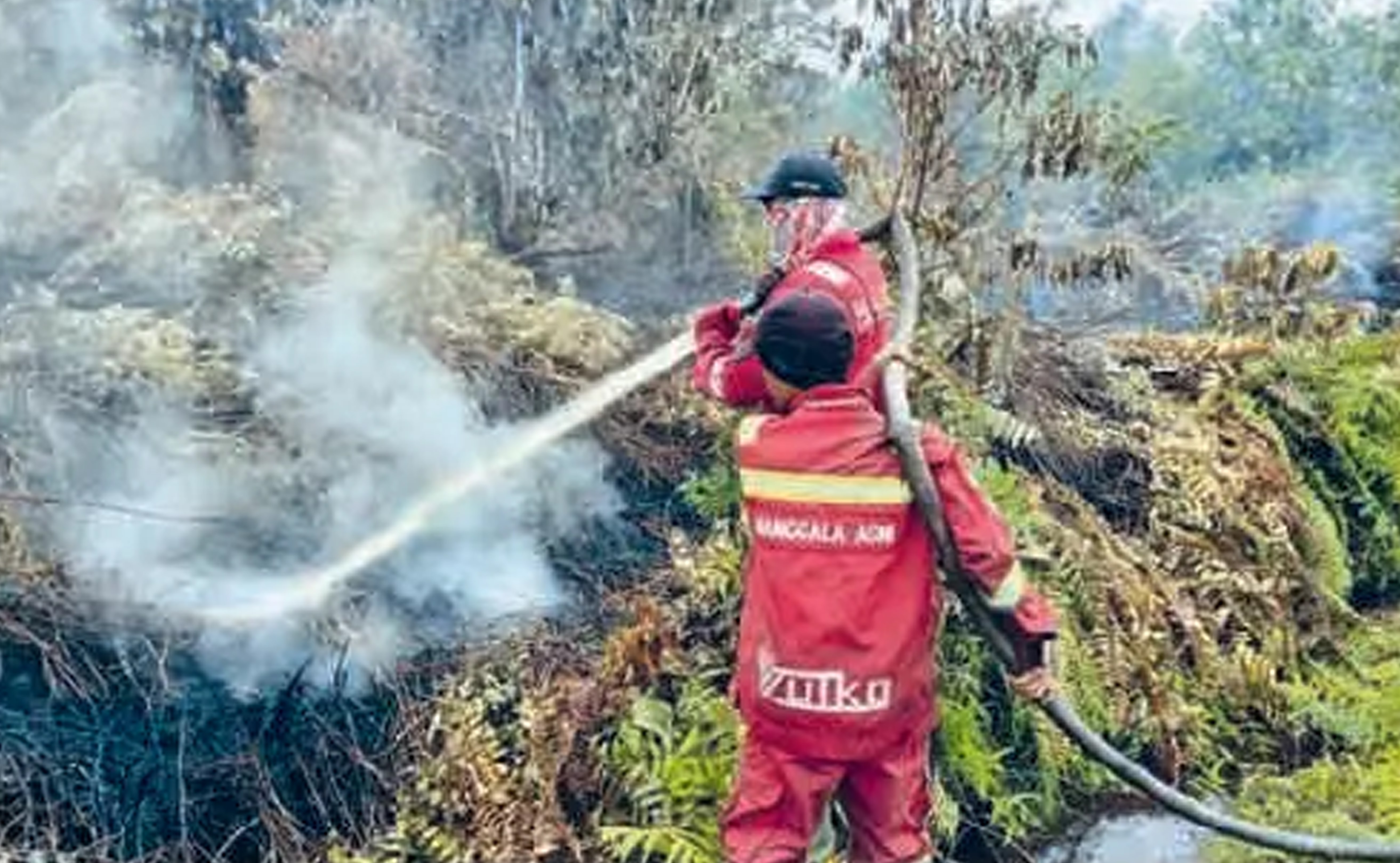 JINAKKAN API: Petugas Manggala Agni memadamkan kebakaran hutan di Riau.