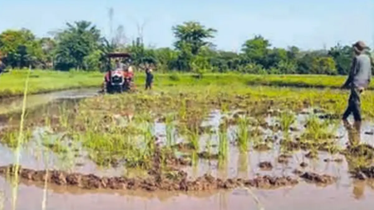 CAMPURAN FOSIL DAN NABATI: Uji coba penggunaan traktor berbahan bakar biodiesel B50 oleh Kementerian Pertanian.
(Foto: HUMAS KEMENTAN)